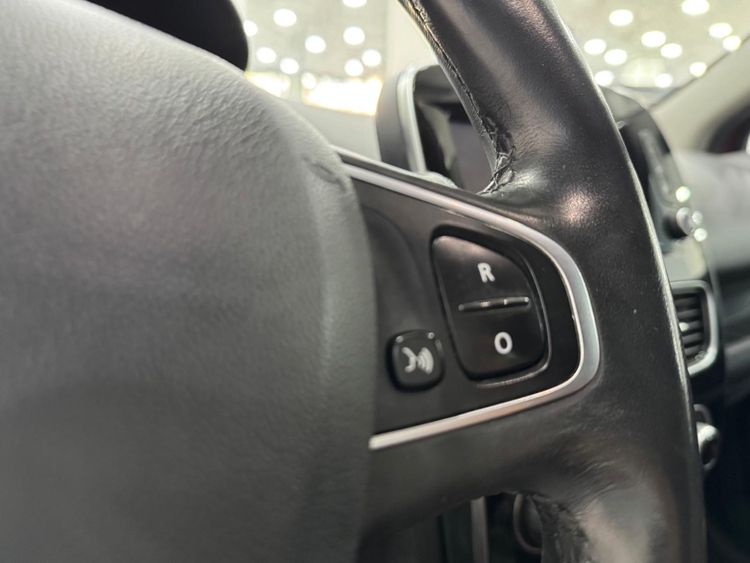 Renault Clio Wolfnoir foto 10